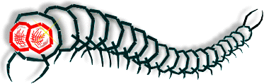 Logo of my page
